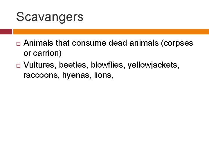 Scavangers Animals that consume dead animals (corpses or carrion) Vultures, beetles, blowflies, yellowjackets, raccoons,