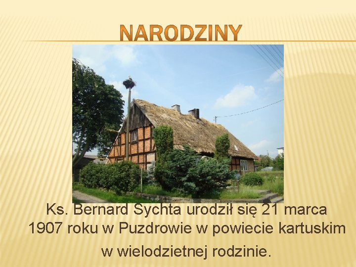 KSIDZ BERNARD SYCHTA PIASTUN SOWA 4 Narodziny 5