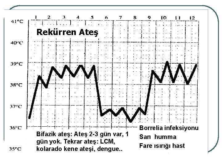 Rekürren Ateş Bifazik ateş: Ateş 2 -3 gün var, 1 gün yok. Tekrar ateş: