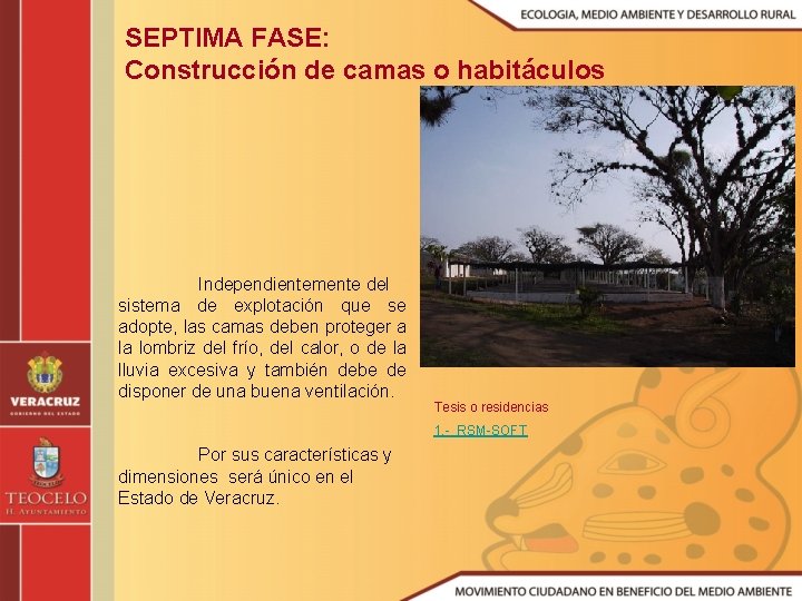 SEPTIMA FASE: Construcción de camas o habitáculos Independientemente del sistema de explotación que se