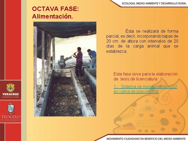 OCTAVA FASE: Alimentación. Ésta se realizará de forma parcial, es decir, incorporando tapas de