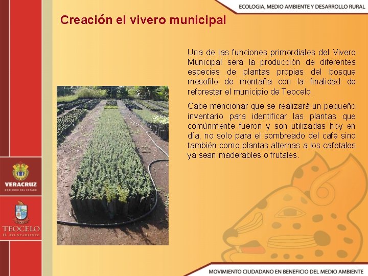 Creación el vivero municipal Una de las funciones primordiales del Vivero Municipal será la