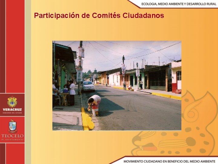 Participación de Comités Ciudadanos 