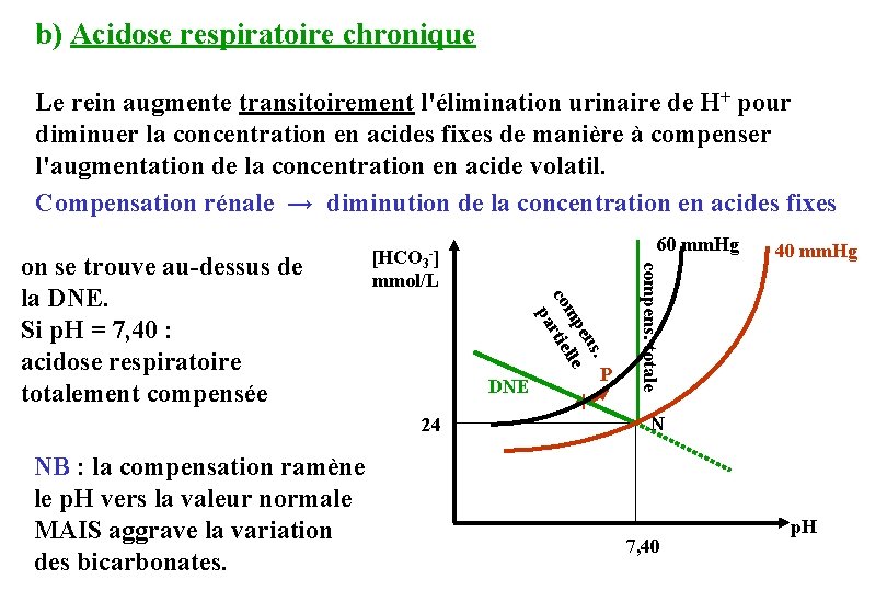 b) Acidose respiratoire chronique Le rein augmente transitoirement l'élimination urinaire de H+ pour diminuer