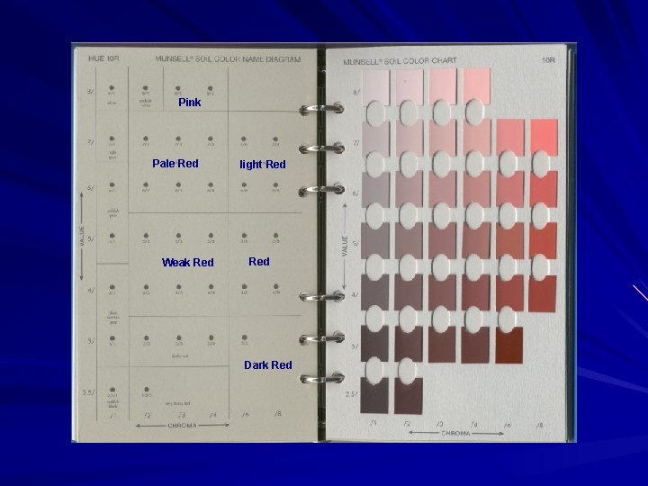 Pink Pale Red Weak Red light Red Dark Red 