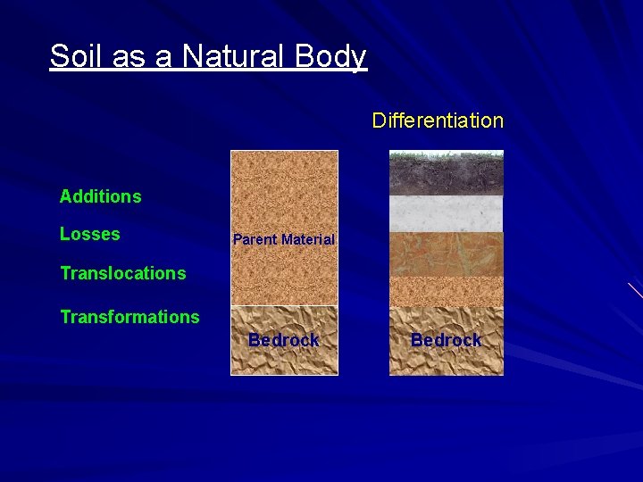 Soil as a Natural Body Differentiation Additions Losses Parent Material Translocations Transformations Bedrock 