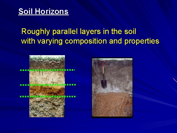 Soil Horizons Roughly parallel layers in the soil with varying composition and properties 