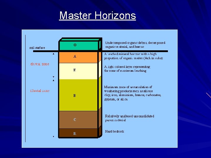 Master Horizons 