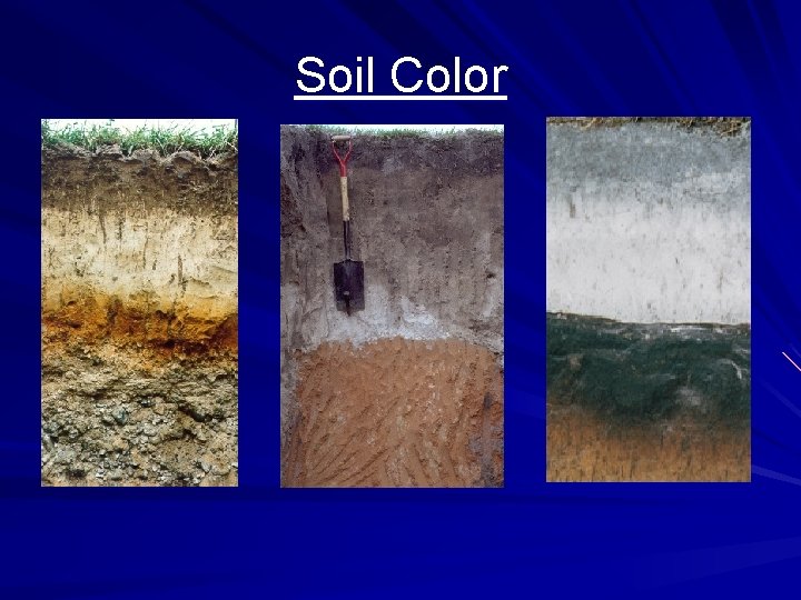 Soil Color 