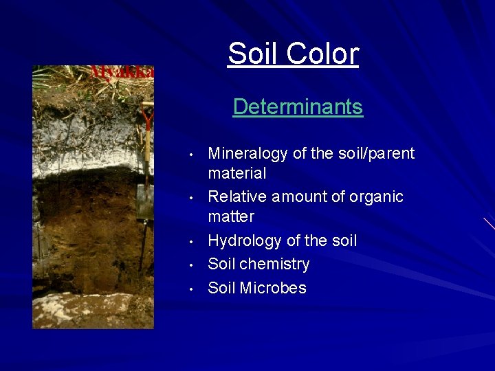 Soil Color Determinants • • • Mineralogy of the soil/parent material Relative amount of