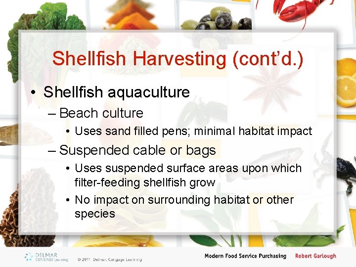 Shellfish Harvesting (cont’d. ) • Shellfish aquaculture – Beach culture • Uses sand filled