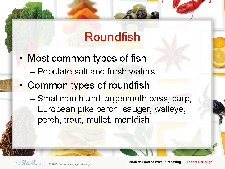 Roundfish • Most common types of fish – Populate salt and fresh waters •