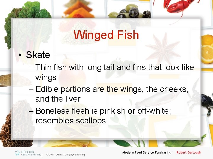 Winged Fish • Skate – Thin fish with long tail and fins that look