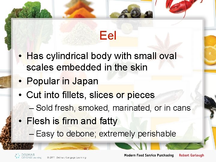 Eel • Has cylindrical body with small oval scales embedded in the skin •