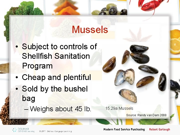 Mussels • Subject to controls of Shellfish Sanitation Program • Cheap and plentiful •