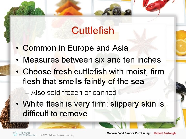 Cuttlefish • Common in Europe and Asia • Measures between six and ten inches