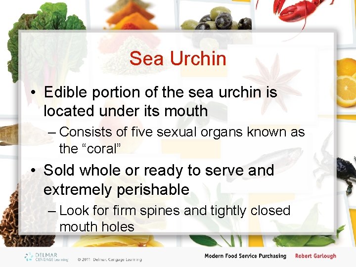 Sea Urchin • Edible portion of the sea urchin is located under its mouth