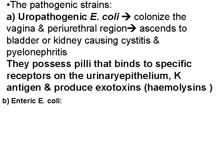 • The pathogenic strains: a) Uropathogenic E. coli colonize the vagina & periurethral • The pathogenic strains: a) Uropathogenic E. coli colonize the vagina & periurethral