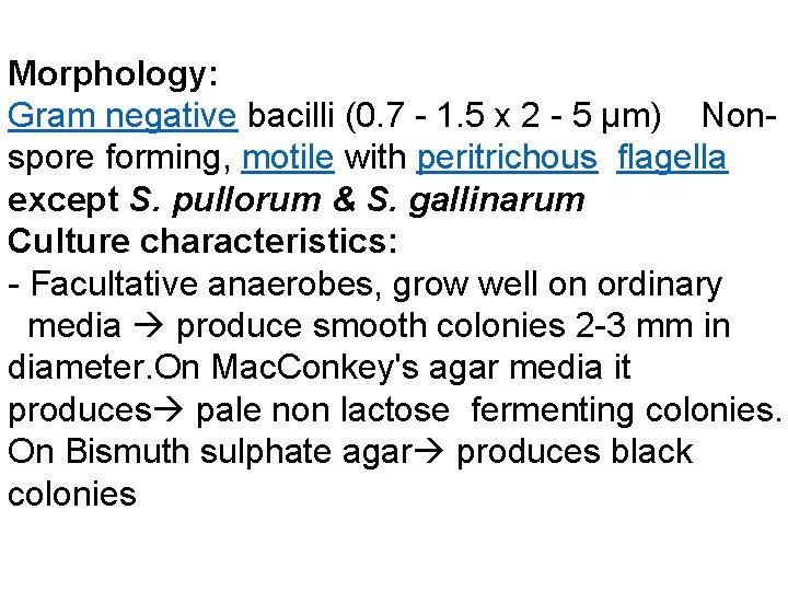 Morphology: Gram negative bacilli (0. 7 - 1. 5 x 2 - 5 µm) Morphology: Gram negative bacilli (0. 7 - 1. 5 x 2 - 5 µm)