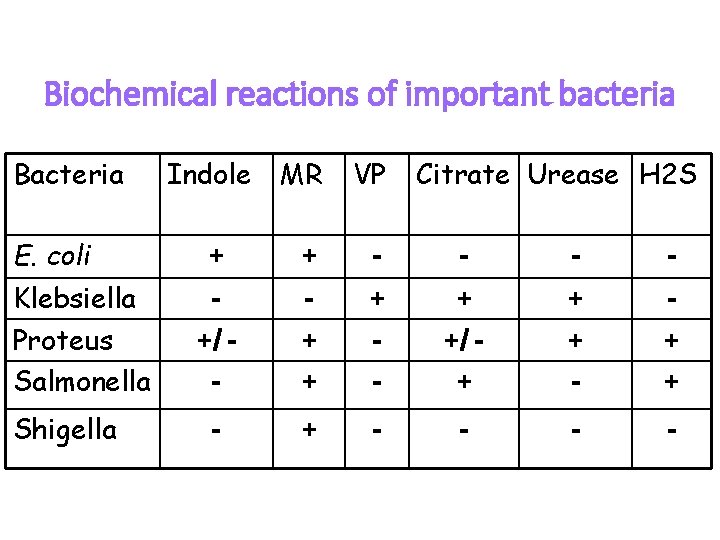Biochemical reactions of important bacteria Bacteria E. coli Klebsiella Proteus Salmonella Shigella Indole MR Biochemical reactions of important bacteria Bacteria E. coli Klebsiella Proteus Salmonella Shigella Indole MR