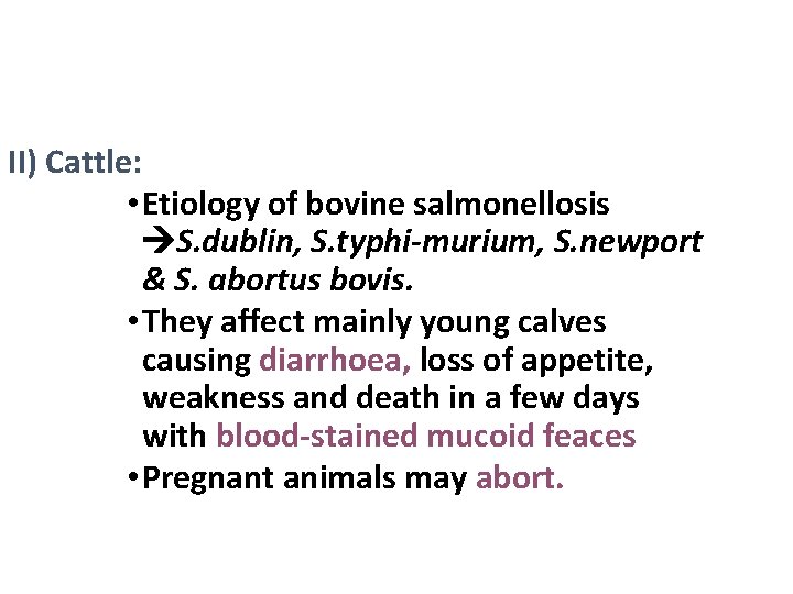 II) Cattle: • Etiology of bovine salmonellosis S. dublin, S. typhi-murium, S. newport & II) Cattle: • Etiology of bovine salmonellosis S. dublin, S. typhi-murium, S. newport &