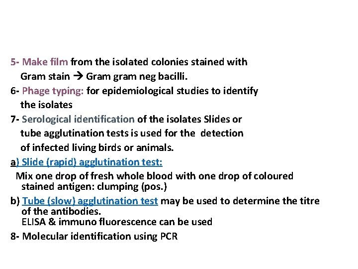 5 - Make film from the isolated colonies stained with Gram stain Gram gram 5 - Make film from the isolated colonies stained with Gram stain Gram gram