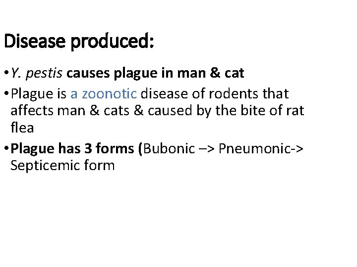 Disease produced: • Y. pestis causes plague in man & cat • Plague is Disease produced: • Y. pestis causes plague in man & cat • Plague is