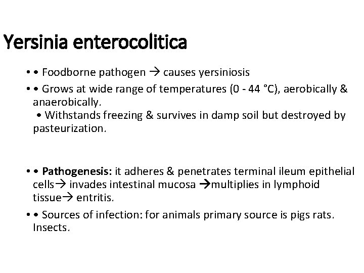 Yersinia enterocolitica • • Foodborne pathogen causes yersiniosis • • Grows at wide range Yersinia enterocolitica • • Foodborne pathogen causes yersiniosis • • Grows at wide range