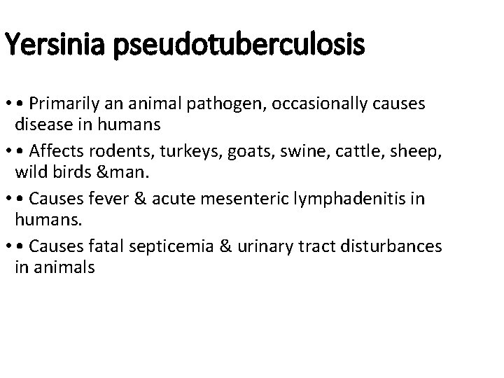 Yersinia pseudotuberculosis • • Primarily an animal pathogen, occasionally causes disease in humans • Yersinia pseudotuberculosis • • Primarily an animal pathogen, occasionally causes disease in humans •