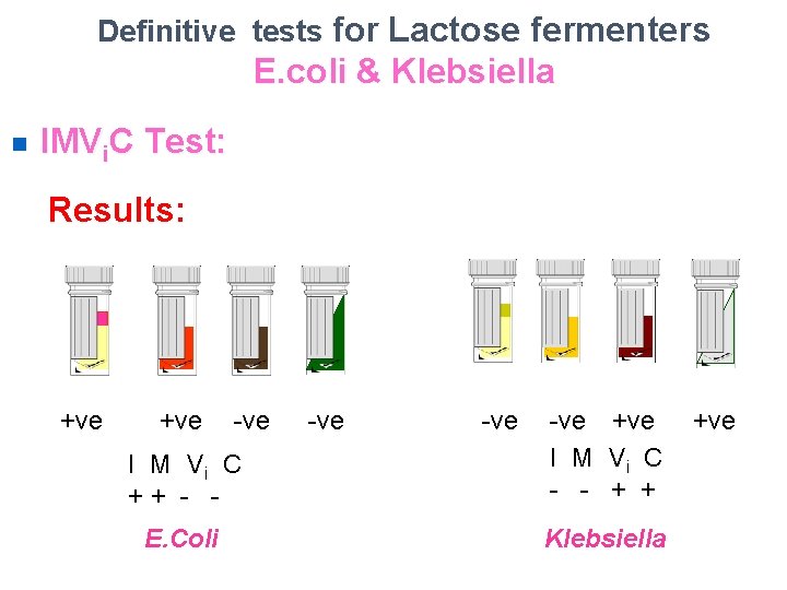 Definitive tests for Lactose fermenters E. coli & Klebsiella n IMVi. C Test: Results: Definitive tests for Lactose fermenters E. coli & Klebsiella n IMVi. C Test: Results: