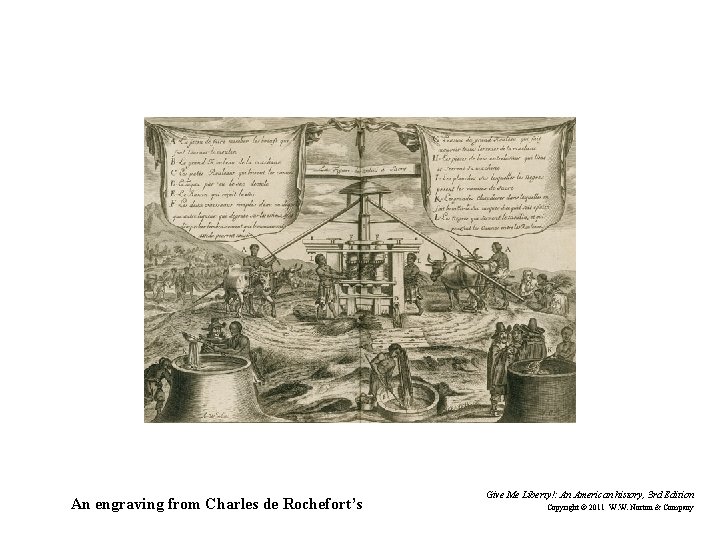 An engraving from Charles de Rochefort’s Give Me Liberty!: An American history, 3 rd