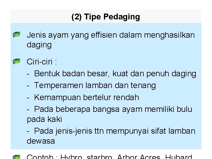 (2) Tipe Pedaging Jenis ayam yang effisien dalam menghasilkan daging Ciri-ciri : - Bentuk