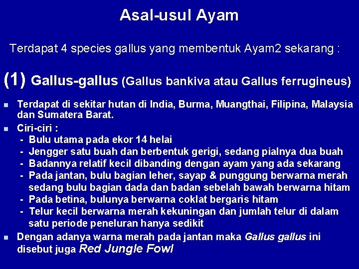 Asal-usul Ayam Terdapat 4 species gallus yang membentuk Ayam 2 sekarang : (1) Gallus-gallus