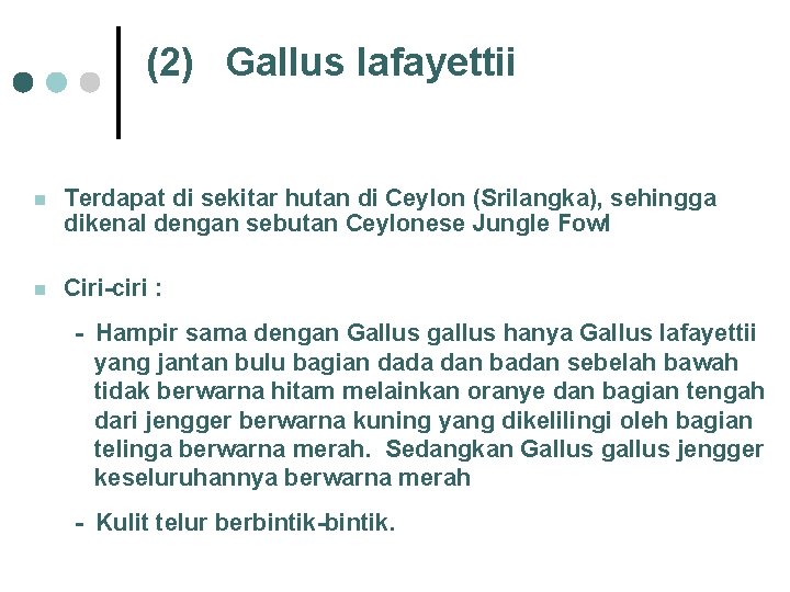 (2) Gallus lafayettii n Terdapat di sekitar hutan di Ceylon (Srilangka), sehingga dikenal dengan