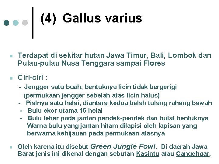 (4) Gallus varius n Terdapat di sekitar hutan Jawa Timur, Bali, Lombok dan Pulau-pulau