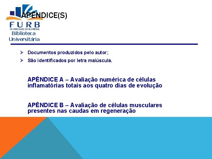 APÊNDICE(S) Biblioteca Universitária Ø Documentos produzidos pelo autor; Ø São identificados por letra maiúscula.