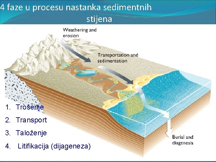 4 faze u procesu nastanka sedimentnih stijena 1. Trošenje 2. Transport 3. Taloženje 4.