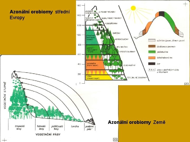 Azonální orobiomy střední Evropy Azonální orobiomy Země 