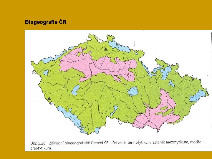 Biogeografie ČR 