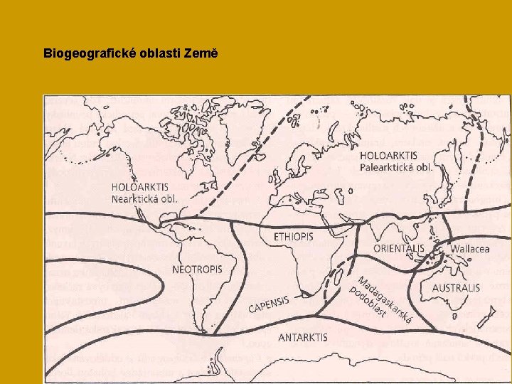 Biogeografické oblasti Země 