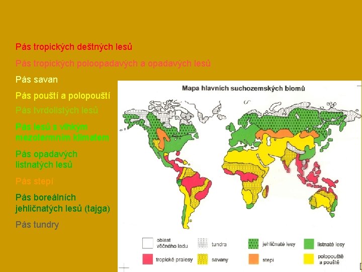 Pás tropických deštných lesů Pás tropických poloopadavých a opadavých lesů Pás savan Pás pouští