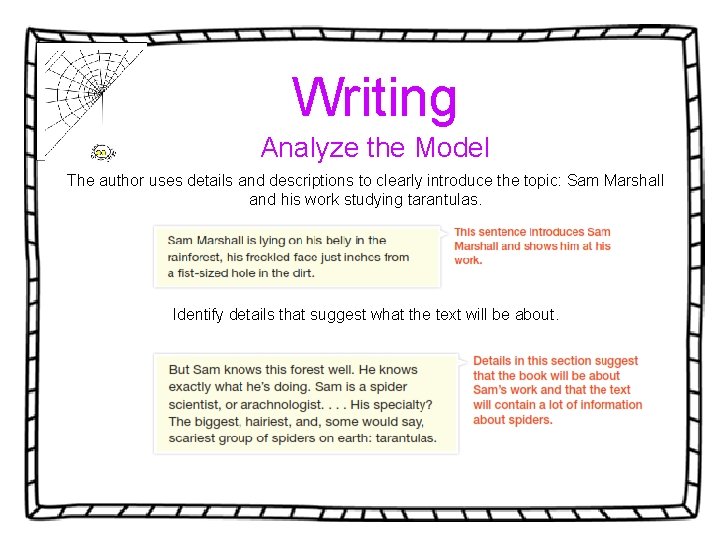 Writing Analyze the Model The author uses details and descriptions to clearly introduce the