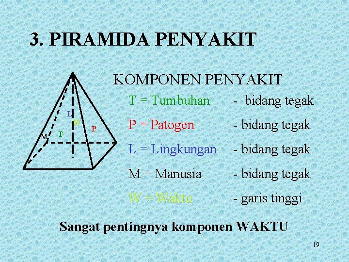 3. PIRAMIDA PENYAKIT KOMPONEN PENYAKIT L W M T P T = Tumbuhan -