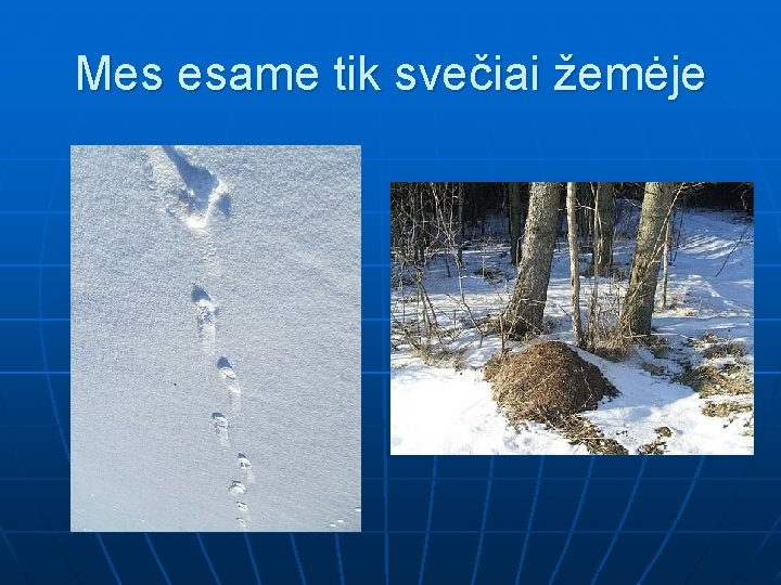 Mes esame tik svečiai žemėje 