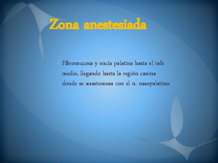 Zona anestesiada Fibromucosa y encía palatina hasta el rafe medio, llegando hasta la región