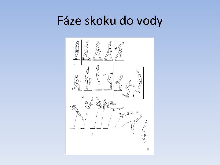 Fáze skoku do vody 