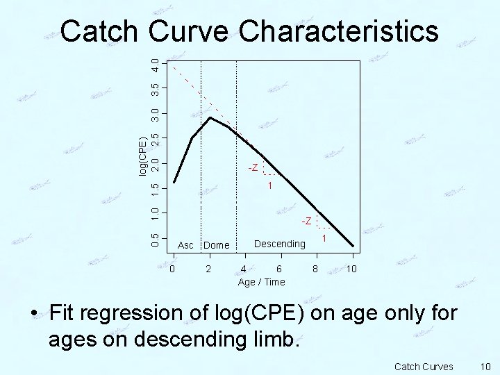 log(CPE) 1. 5 2. 0 2. 5 3. 0 3. 5 4. 0 Catch