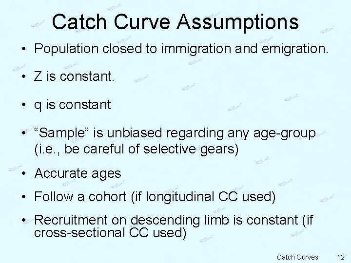 Catch Curve Assumptions • Population closed to immigration and emigration. • Z is constant.