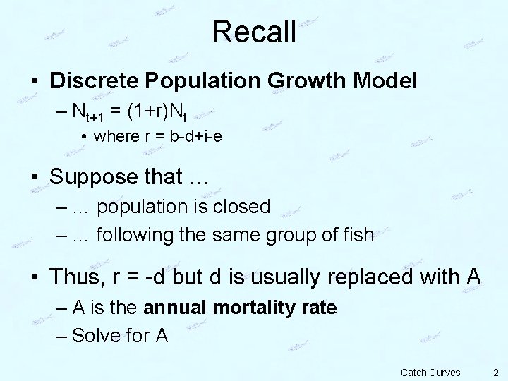 Recall • Discrete Population Growth Model – Nt+1 = (1+r)Nt • where r =