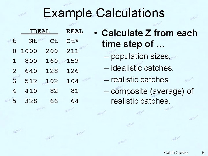 Example Calculations t 0 1 2 3 4 5 IDEAL Nt Ct 1000 200